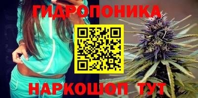apvp Заводоуковск