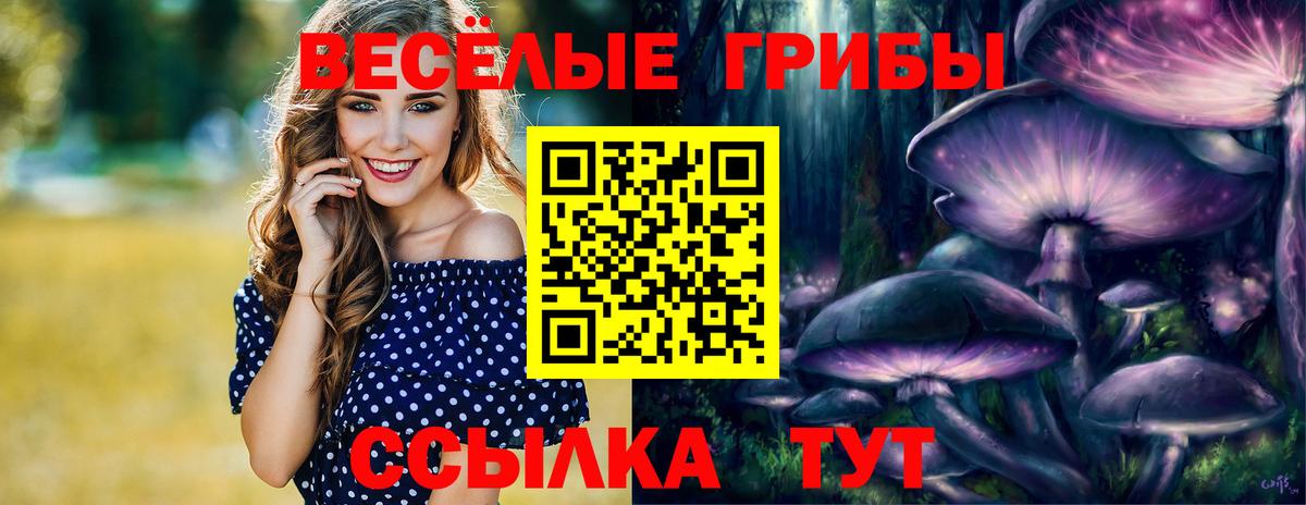 Псилоцибиновые грибы ЛСД  Вход с VPN  Партизанск  Галлюциногенные грибы мицелий 