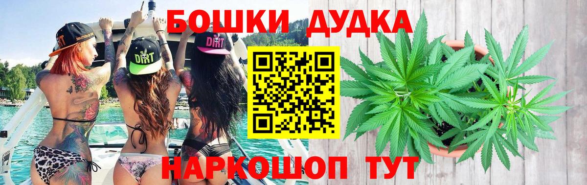 Бошки Шишки семена Партизанск